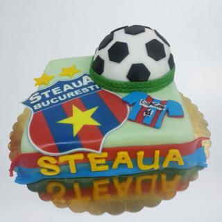 Tort cu Steaua si minge