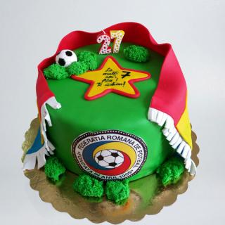 Tort echipa nationala