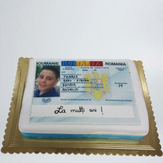 Tort model buletin