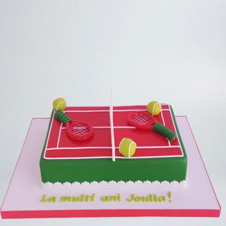 Tort teren de tenis