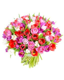 Buchet 101 lalele multicolore