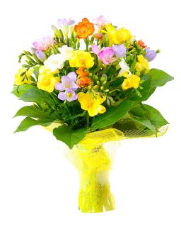 Buchet 25 frezii multicolore