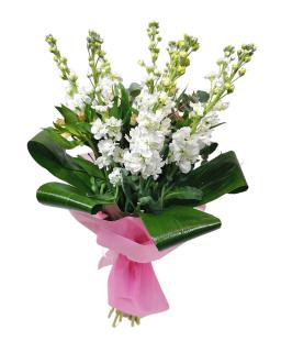 Buchet alb cu matthiola