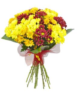 Buchet de crizanteme in culori de toamna