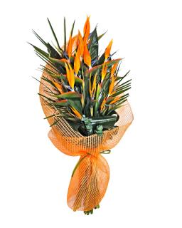 Buchet flori pasarea paradisului