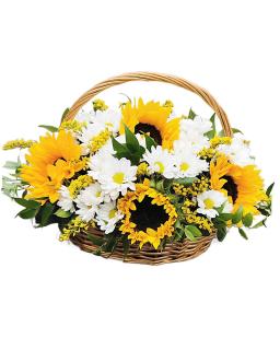 Cos cu Floarea-Soarelui si Crizanteme Albe
