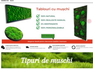 Pereti verzi, tablouri cu licheni, muschi si plante naturale.