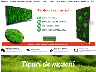 Pereti verzi, tablouri cu licheni, muschi si plante naturale.