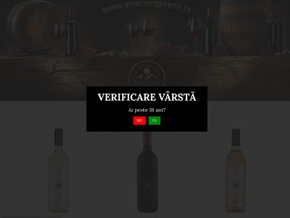 Magazin de Vinuri ungurești