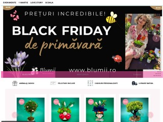 Atelierul de creatie Blumii